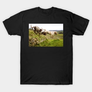 Leaping off a Long Barrow Spinoni T-Shirt